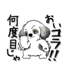 Black ＆ White シーズー犬 『親って大変』（個別スタンプ：14）