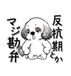 Black ＆ White シーズー犬 『親って大変』（個別スタンプ：21）