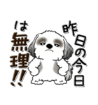 Black ＆ White シーズー犬 『親って大変』（個別スタンプ：24）