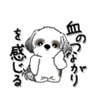 Black ＆ White シーズー犬 『親って大変』（個別スタンプ：33）