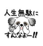 Black ＆ White シーズー犬 『親って大変』（個別スタンプ：34）