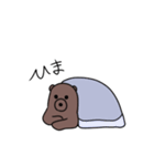 ドン(DON)（個別スタンプ：13）