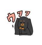 ふつうのキャバリア（個別スタンプ：2）