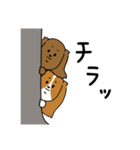 ふつうのキャバリア（個別スタンプ：23）