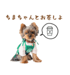 ちまきスタンプbyKumicco（個別スタンプ：7）