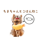 ちまきスタンプbyKumicco（個別スタンプ：8）