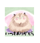 ほんわかねこねこ日和（個別スタンプ：2）