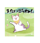 ほんわかねこねこ日和（個別スタンプ：7）