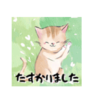 ほんわかねこねこ日和（個別スタンプ：10）