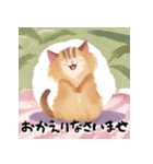 ほんわかねこねこ日和（個別スタンプ：12）