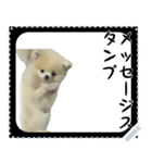 犬メッセージスタンプ 01（個別スタンプ：20）