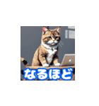 楽しい夏の猫たち（個別スタンプ：12）