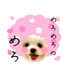 メロメロのMel♡dy ＆モッチモチのモッチー（個別スタンプ：4）