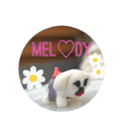 メロメロのMel♡dy ＆モッチモチのモッチー（個別スタンプ：5）