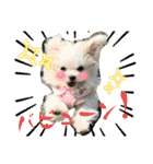 メロメロのMel♡dy ＆モッチモチのモッチー（個別スタンプ：6）