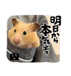 メロメロのMel♡dy ＆モッチモチのモッチー（個別スタンプ：7）