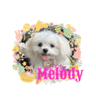メロメロのMel♡dy ＆モッチモチのモッチー（個別スタンプ：9）
