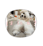 メロメロのMel♡dy ＆モッチモチのモッチー（個別スタンプ：17）
