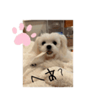 メロメロのMel♡dy ＆モッチモチのモッチー（個別スタンプ：21）