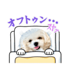 メロメロのMel♡dy ＆モッチモチのモッチー（個別スタンプ：23）