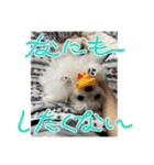メロメロのMel♡dy ＆モッチモチのモッチー（個別スタンプ：24）