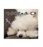 メロメロのMel♡dy ＆モッチモチのモッチー（個別スタンプ：27）