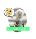 メロメロのMel♡dy ＆モッチモチのモッチー（個別スタンプ：29）