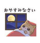 しとしと梅雨にゃんこ（個別スタンプ：3）