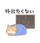 しとしと梅雨にゃんこ（個別スタンプ：15）