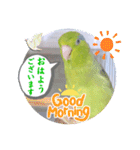 マメルリハ達19（個別スタンプ：2）