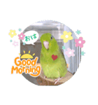 マメルリハ達19（個別スタンプ：6）
