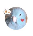 マメルリハ達19（個別スタンプ：9）