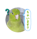 マメルリハ達19（個別スタンプ：14）