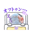 マメルリハ達19（個別スタンプ：16）