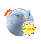 マメルリハ達19（個別スタンプ：20）