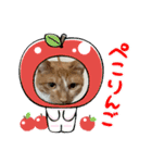 茶とらモナカスタンプ（個別スタンプ：2）