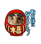 茶とらモナカスタンプ（個別スタンプ：8）