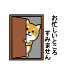 ちびしばワールド 敬語編（個別スタンプ：36）