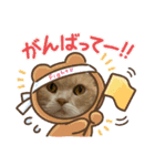 我が家のおネコさま（個別スタンプ：7）