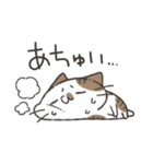 あちちな夏のにゃんこスタンプ（個別スタンプ：17）