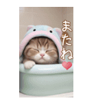 可愛いスコティッシュ猫 ずっと使えるBIG（個別スタンプ：24）