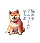 煽る嫁柴犬【煽り・夫婦・日常会話】（個別スタンプ：17）