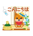 柴犬「ムサシ」57 夏6（個別スタンプ：16）