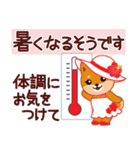 柴犬「ムサシ」57 夏6（個別スタンプ：25）