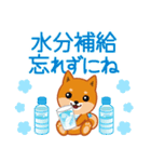 柴犬「ムサシ」57 夏6（個別スタンプ：27）