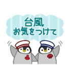 柴犬「ムサシ」57 夏6（個別スタンプ：38）