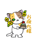 ほうせんか猫の部屋 猫イラストスタンプ4（個別スタンプ：22）