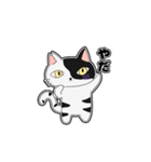 猫のきっしー（個別スタンプ：1）