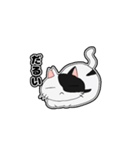 猫のきっしー（個別スタンプ：2）