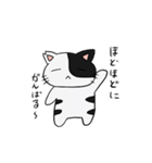 猫のきっしー（個別スタンプ：5）